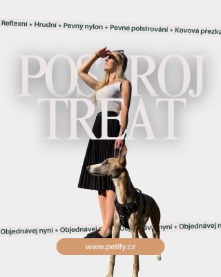 Postroj TREAT je ideální pro každodenní procházky i delší výlety – pevný nylon, kvalitní polstrování a reflexní prvky...