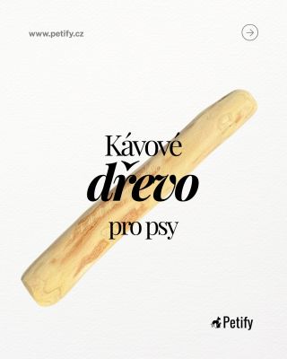 Klasické klacky vypadají jako skvělá hračka… ale jen na první pohled. ❌ Třísky, pryskyřice a plísně můžou tvému psovi...