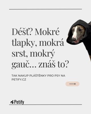 Déšť přijde nečekaně, ale ty i tvůj pejsek můžete být připravení. 🌧️ Objev naše pláštěnky do deště – Rainy, Drizzly nebo...