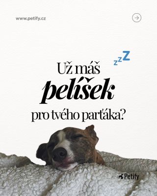 Pelíšek nebo matrace? Každý pejsek má jiné preference – někdo se rád natáhne do délky, jiný se zase nejraději schoulí do...